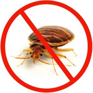 No Bed Bugs Allowed !